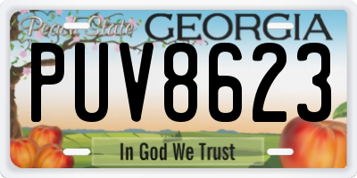 GA license plate PUV8623