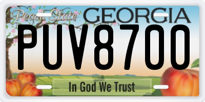 GA license plate PUV8700