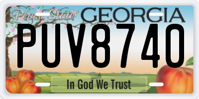 GA license plate PUV8740