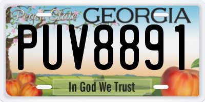 GA license plate PUV8891