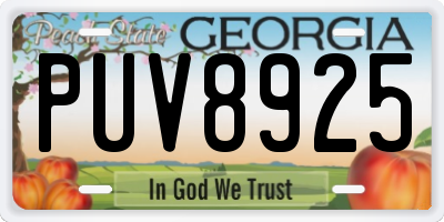 GA license plate PUV8925