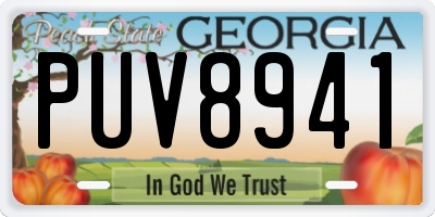 GA license plate PUV8941