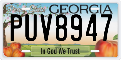 GA license plate PUV8947