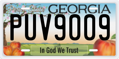 GA license plate PUV9009