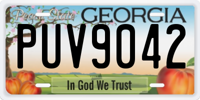GA license plate PUV9042