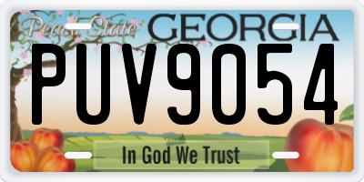 GA license plate PUV9054