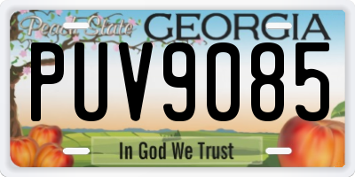 GA license plate PUV9085