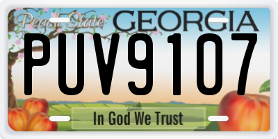 GA license plate PUV9107
