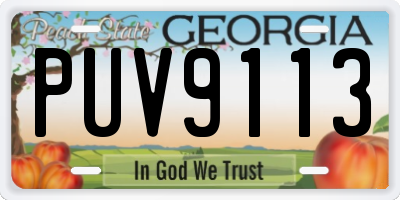 GA license plate PUV9113