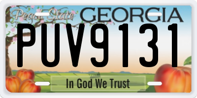 GA license plate PUV9131