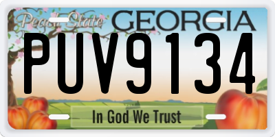 GA license plate PUV9134