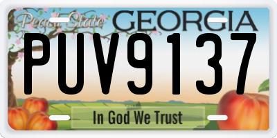 GA license plate PUV9137