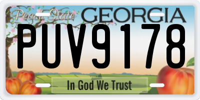 GA license plate PUV9178