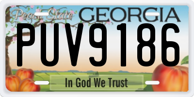 GA license plate PUV9186