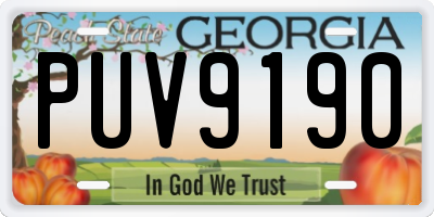 GA license plate PUV9190
