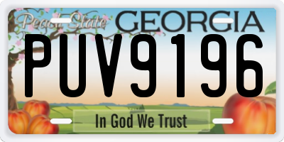 GA license plate PUV9196