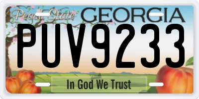 GA license plate PUV9233