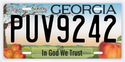 GA license plate PUV9242