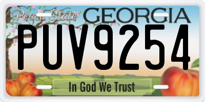 GA license plate PUV9254