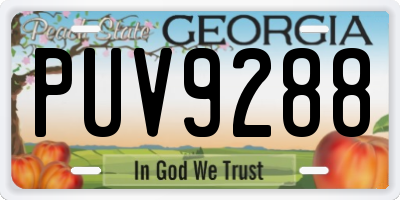 GA license plate PUV9288