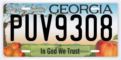 GA license plate PUV9308