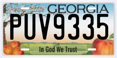 GA license plate PUV9335