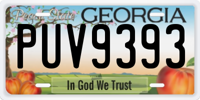GA license plate PUV9393