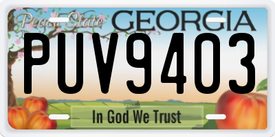GA license plate PUV9403