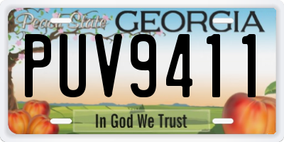 GA license plate PUV9411
