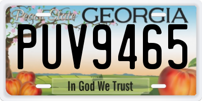 GA license plate PUV9465