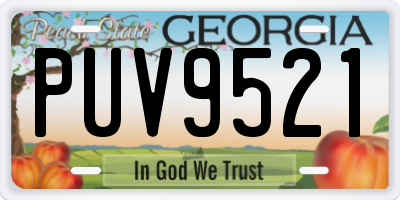 GA license plate PUV9521
