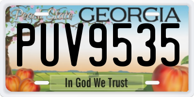 GA license plate PUV9535