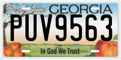 GA license plate PUV9563