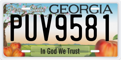 GA license plate PUV9581
