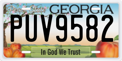 GA license plate PUV9582