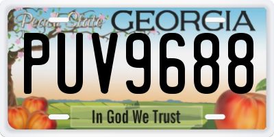 GA license plate PUV9688