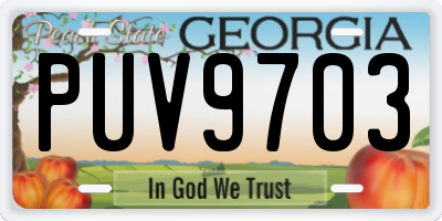 GA license plate PUV9703