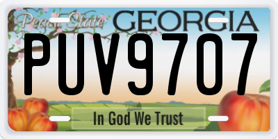 GA license plate PUV9707