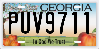 GA license plate PUV9711
