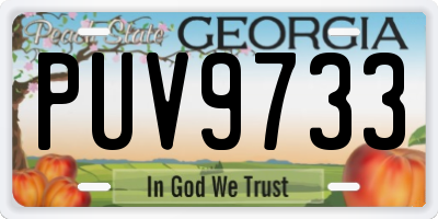 GA license plate PUV9733