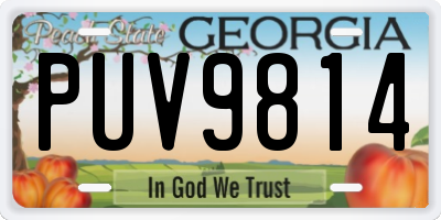 GA license plate PUV9814