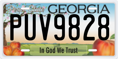 GA license plate PUV9828