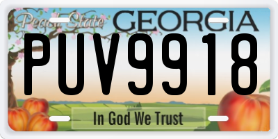 GA license plate PUV9918