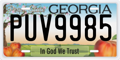 GA license plate PUV9985