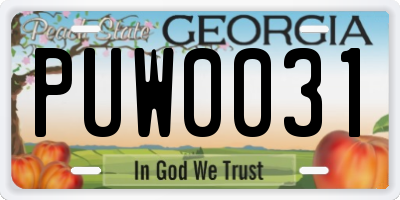 GA license plate PUW0031