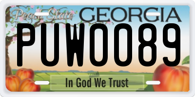 GA license plate PUW0089