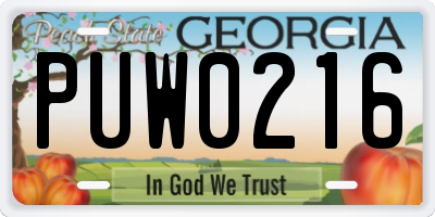 GA license plate PUW0216