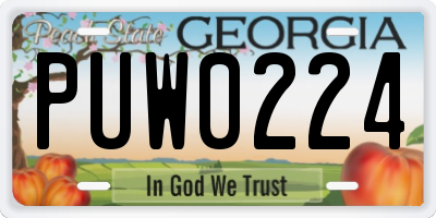 GA license plate PUW0224