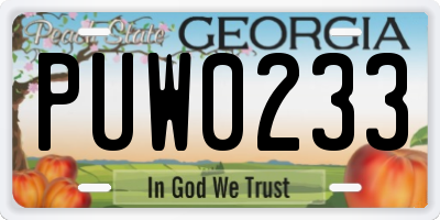 GA license plate PUW0233