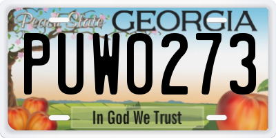 GA license plate PUW0273